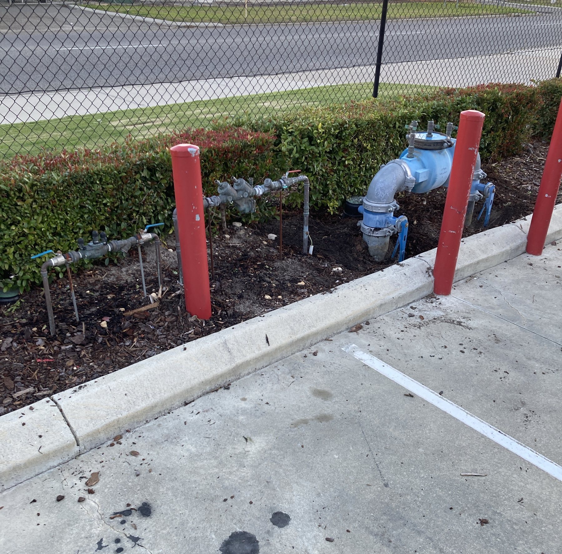 Backflow prevention assemblies installed behind protective bollards at a commercial site boundary.